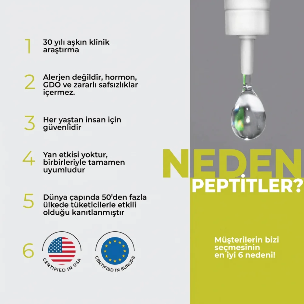 Chitomur A-12 Lingual Mesane Peptidi