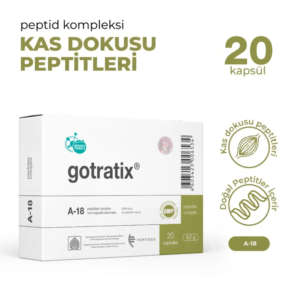 Gotratix A-18 Kas Sistemi