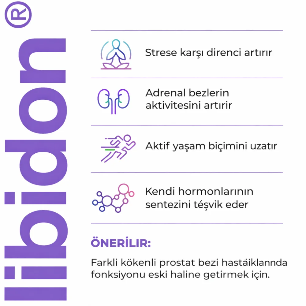 Libidon A-16 Prostat Bezi Peptitleri