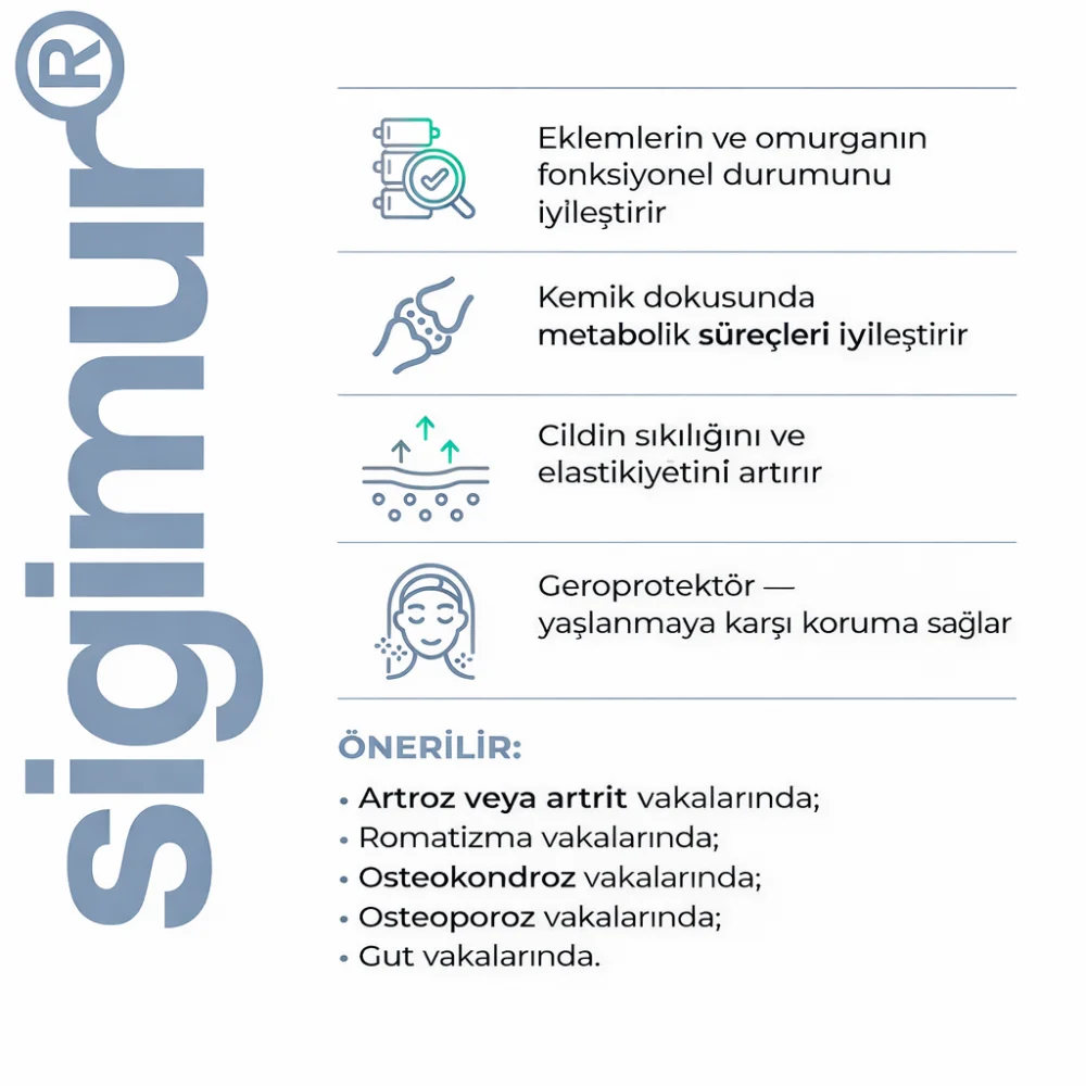 Sigumir A-4 Kıkırdak Peptitleri