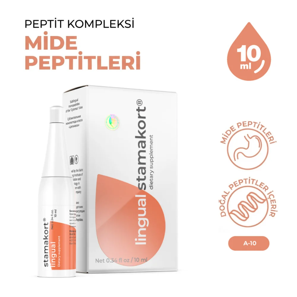 Stamakort A-10 Lingual Mide ve Sindirim Sistemi - Peptit.life