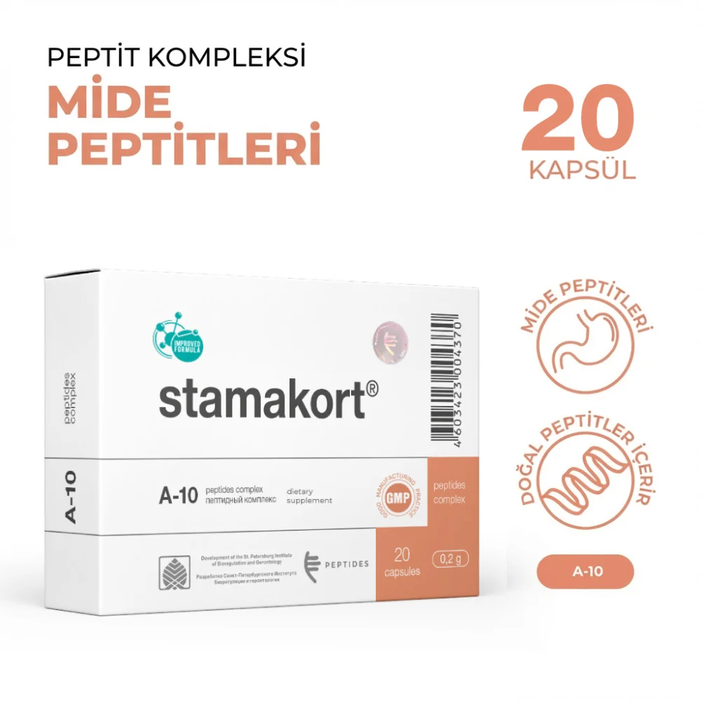 Stamakort A-10 Mide ve Sindirim Sistemi