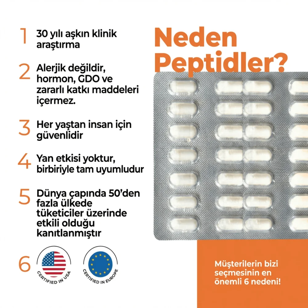 Stamakort A-10 Mide ve Sindirim Sistemi