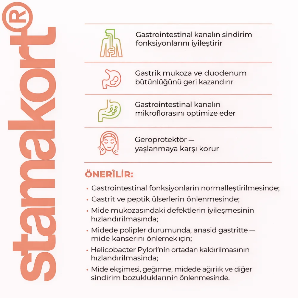 Stamakort A-10 Mide ve Sindirim Sistemi
