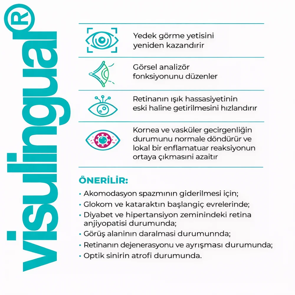Visulingual Lingual Görme Sistemi